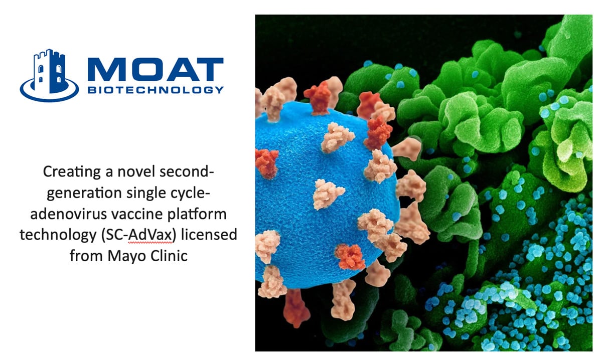 BSV-Portfolio-MoatBiotechnology BSV-Portfolio-MoatBiotechnology